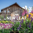 New Leaf Nursery