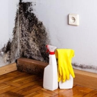Discount Water and Mold Removal