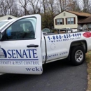 Senate Termite & Pest Control - Termite Control