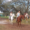 Sunset Riding STABLES....ADULT HORSE  BOARDING - Stables