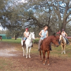 Sunset Riding STABLES....ADULT HORSE  BOARDING