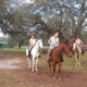 Sunset Riding STABLES....ADULT HORSE BOARDING