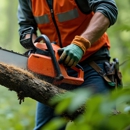 Safe Tree Service Pros - Tree Service
