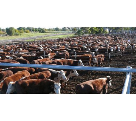 Brien A J F & Sons - Coonamble, NSW