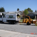 Nor-Cal Tree & Stump Service - Tree Service