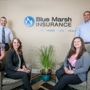 Blue Marsh Insurance