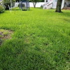 4 Stroke Mobile Mower Repair and Service