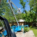 Multiserve Tree Service - Tree Service
