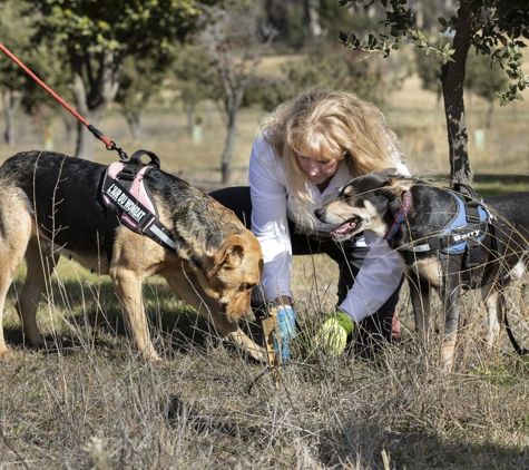 Truffle Hunting at L'air du Wombat - Oallen, NSW