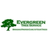 Evergreen Tree Service gallery