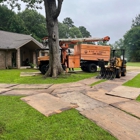 Eric Russell Tree Service