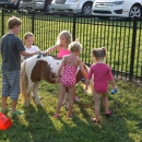 About Town Ponies - Party & Event Planners