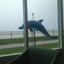 Dolphin Run Condominiums - Condominium Management