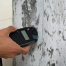 Texas Mold Guys of Houston - Mold Remediation