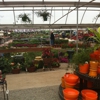 TLC Nursery & Greenhouses gallery