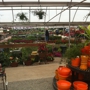 TLC Nursery & Greenhouses