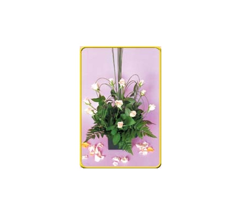 Westbreen Florist - Pascoe Vale, VIC