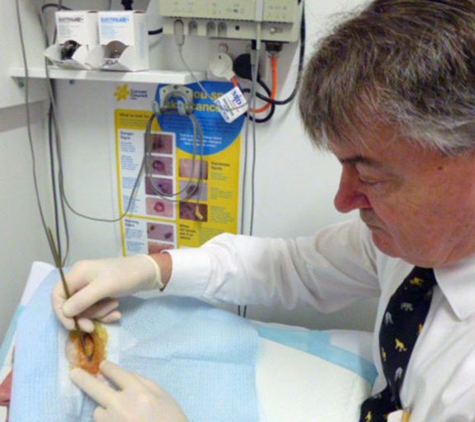 Port Macquarie Skin Cancer Clinic - Port Macquarie, NSW