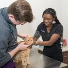 Arlington Animal Clinic