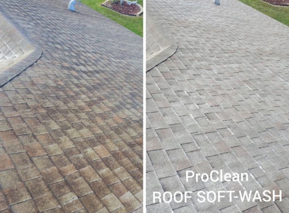 Lincoln Park Power Washing Pros - Lincoln Park, MI. Roof Cleaning