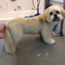 Lucky Dog Grooming - Pet Grooming