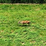 Wnc Nature Ctr