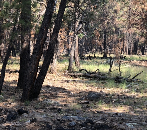 The Bow Shop - Yuma, AZ. Headed towards the area where I made my shot.