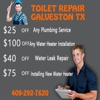 Toilet Repair Galveston TX gallery