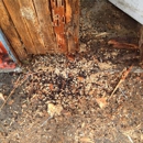 Easton Pest Management Inc
