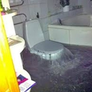 PuroClean Restoration Services - Water Damage Restoration