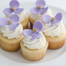 Bellissimo Creations Cupcakes Confections & Catering - Bakeries