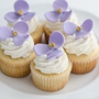 Bellissimo Creations Cupcakes Confections & Catering