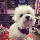 Woof Gang Bakery & Grooming Heathrow - Pet Services