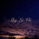 SkyLaVii LLC