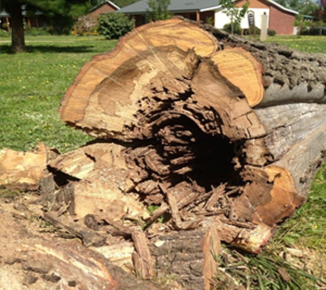 Dan's Tree Services - Wangaratta, VIC