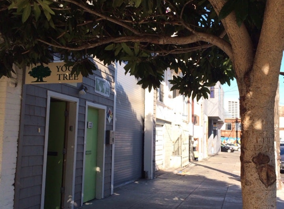 Yoga Tree - San Francisco, CA