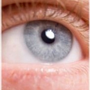 Professional Optical Service Incorporated - Optical Goods Repair