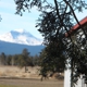 Crater Lake Spirits Distillery Tasting Room