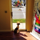 Allegra Tampa-Downtown - Mail & Shipping Services