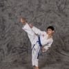 Red Tiger TKD gallery