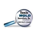 Mold Services