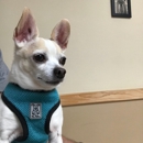 Limerick Veterinary Hospital - Veterinary Clinics & Hospitals