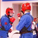 Plumer Karate America - Martial Arts Instruction