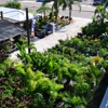 All Seasons Landscaping Inc gallery