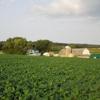 Mahoning Creek Farm gallery