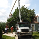 Dorshak Tree Specialists - Arborists