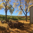 Carlson Vineyards Winery