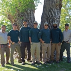 American Arborists