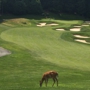 Patriot Hills Golf Club