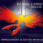 Fenix Concept